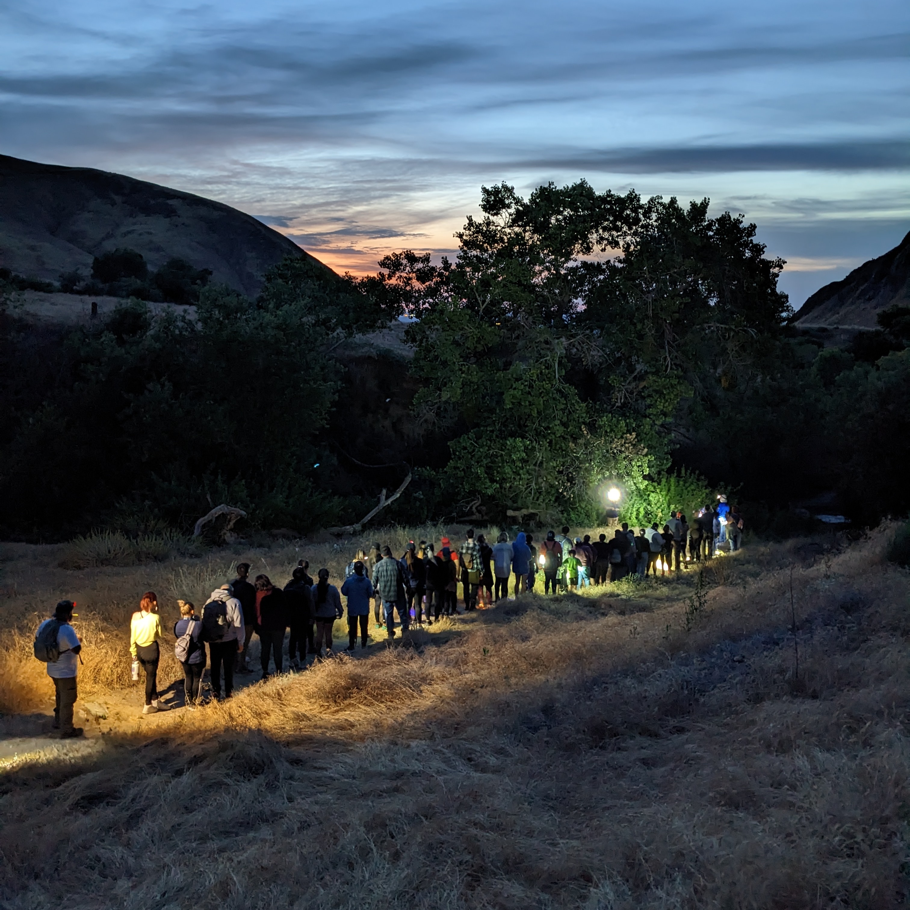 Night Hike: San Emigdio Canyon Trail - logo